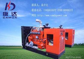 燃气发电机组 高效清洁的能源解决方案