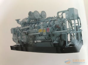 燃气发电机组星光厂家直供